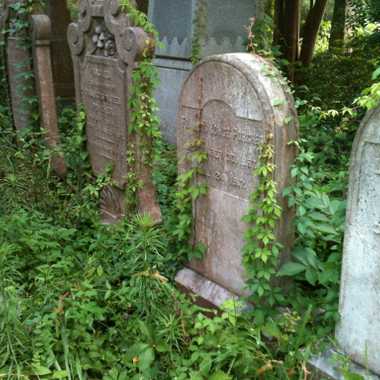 Overgrown headstones at the Unitarian Cemetery.