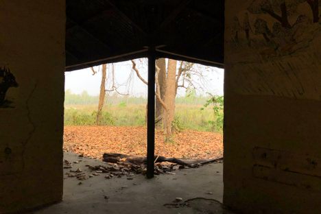 Ruins of the Temple Tiger Resort