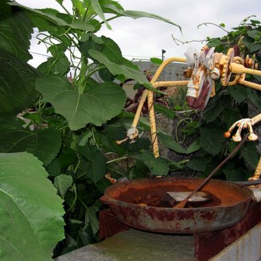 On the wall, the creature cooks something in a frying pan.