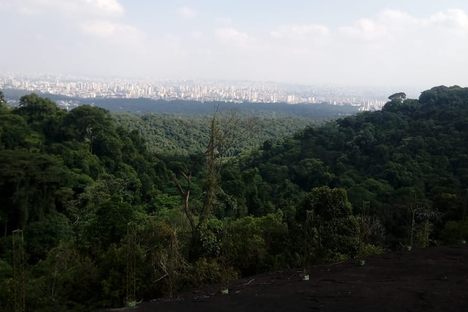 View from the Pedra Grande rock of panorama showing Cantareira forest in foreground and Sao Paulo city in the background