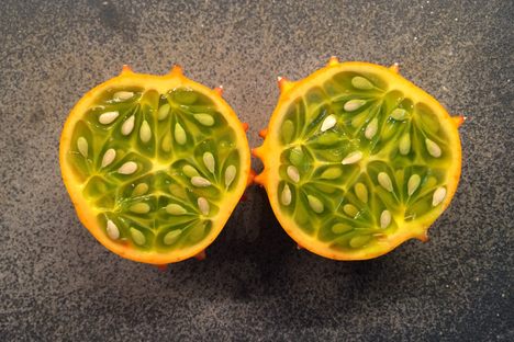 African Horned Cucumber