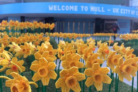 A Field of Lego Daffodils Has Sprouted in England