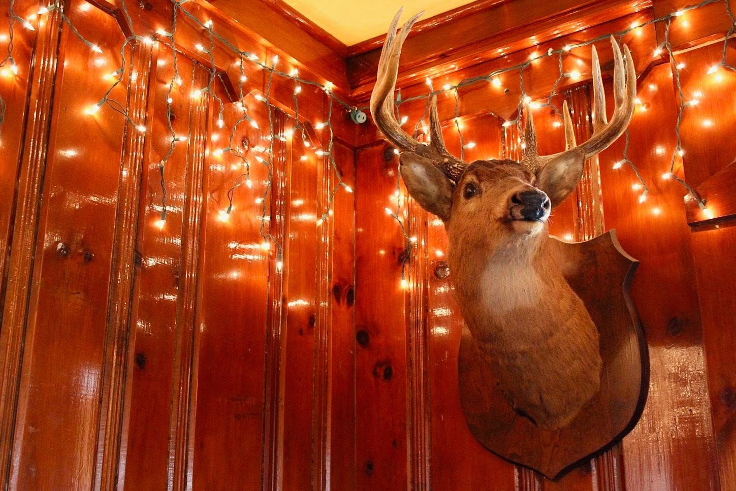 The supper-club decor trifecta: taxidermy, twinkly lights, and dark wood.