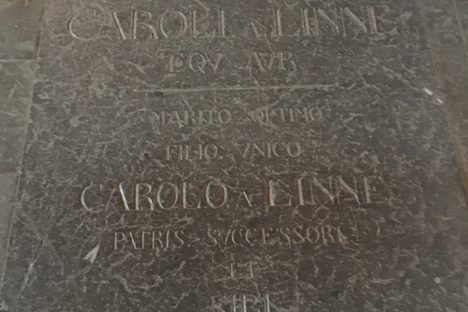 Memorial of Carl Linnaeus.
