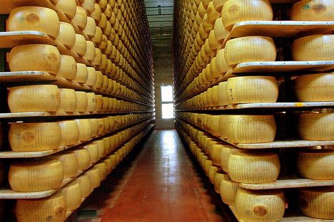 There's Only One State Where You Can Become a Master Cheesemaker