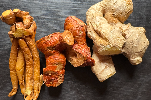 From left to right: krachai, galangal, ginger.