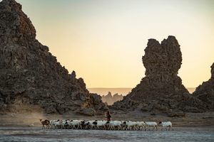 Photo of Djibouti