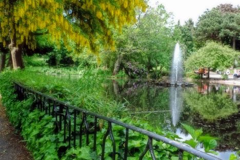 Ornamental Pond