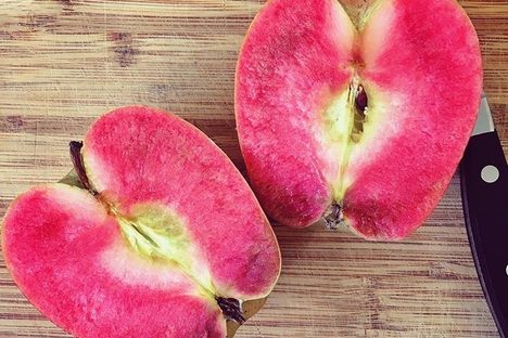 Pink Pearl Apple