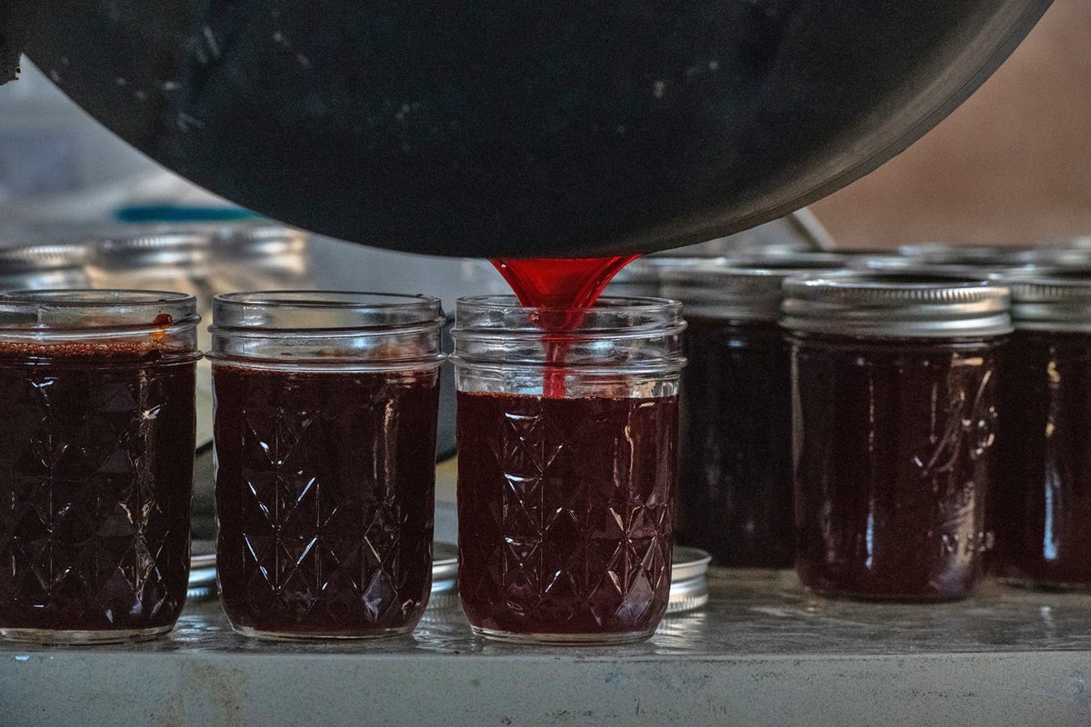 The reduced syrup from the pulp of the saguaro fruit is stored in dozens of small sterile jars.