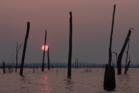 Flooded trees near Nakai, during dry season, when slash and burn fields are on fire