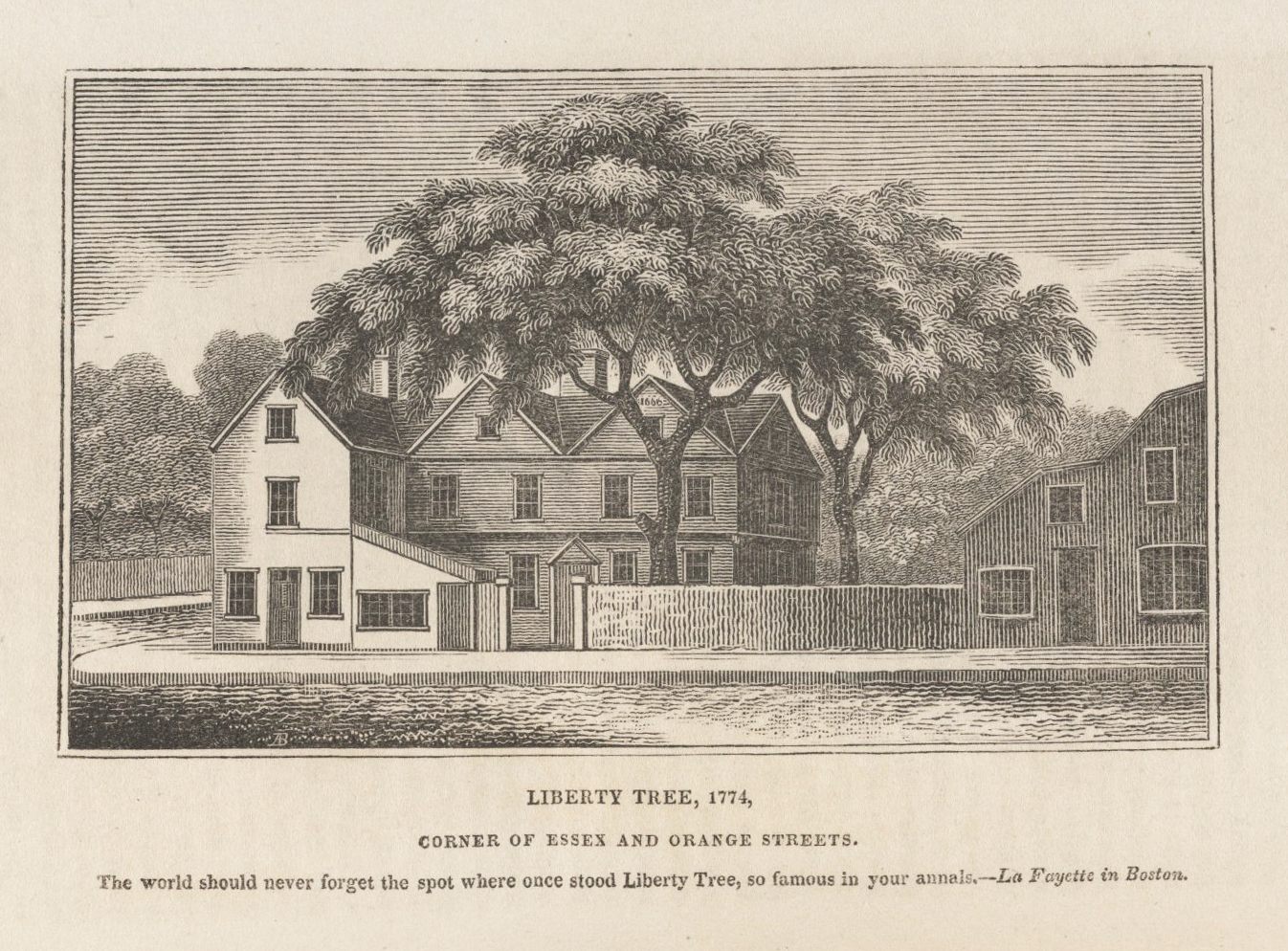 Boston's Liberty Tree, RIP.