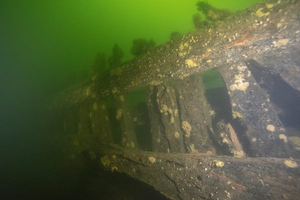 One wreck closely resembles Vasa in size and shape, leading to speculation that it may be Äpplet, its sister ship. 