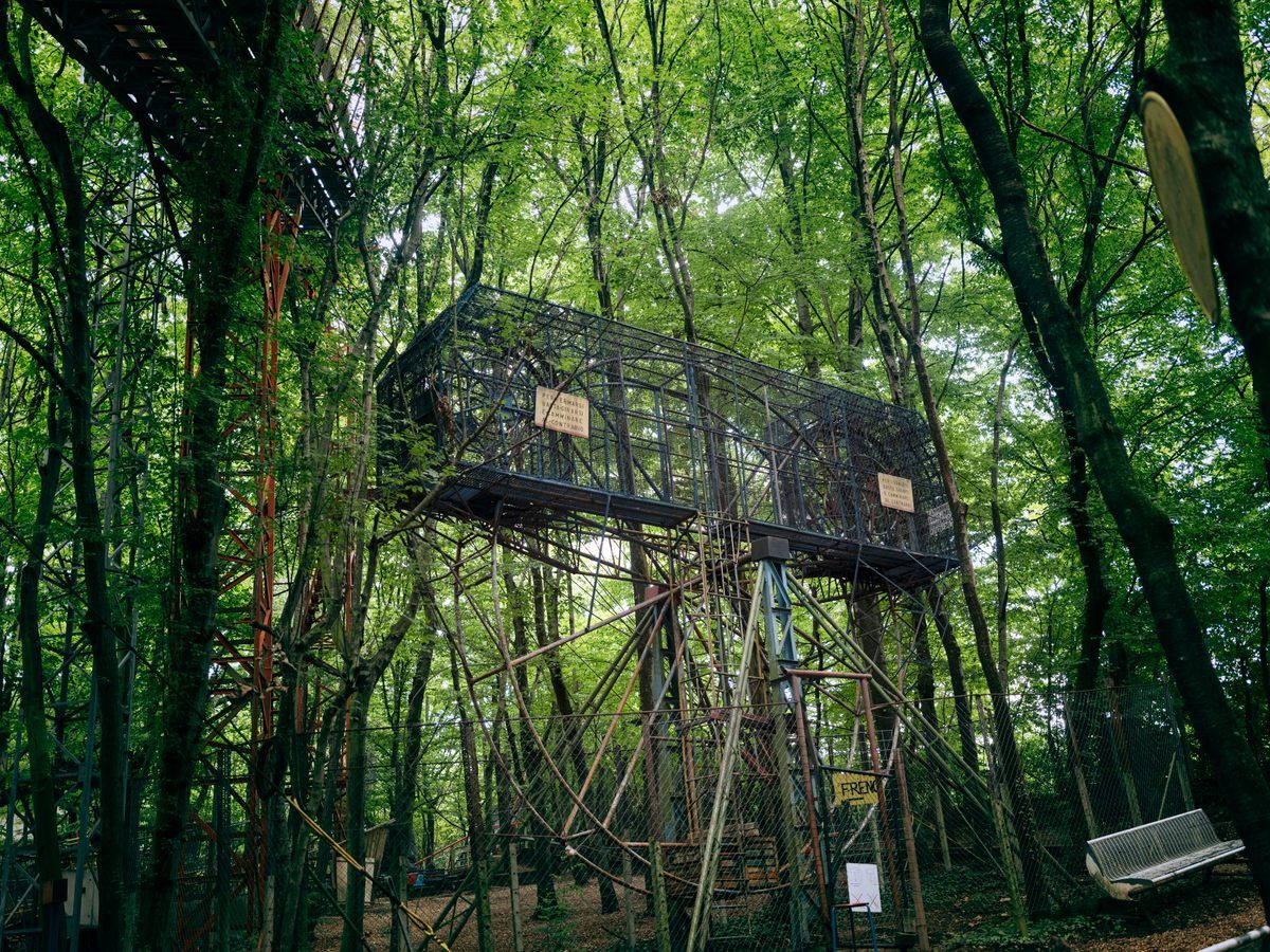 In a shady forest, a handmade amusement park brings joys—and physics lessons—to thousands.