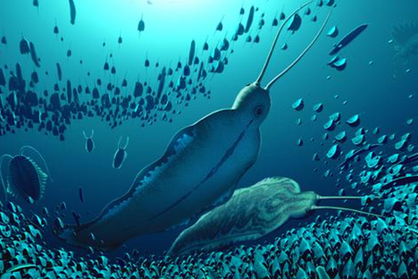 Half a Billion Years Ago, These ‘Terror Beasts’ Ruled the Seas