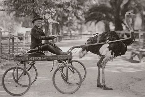 Not your typical ride